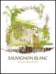 Sauv Blanc- Wine Label