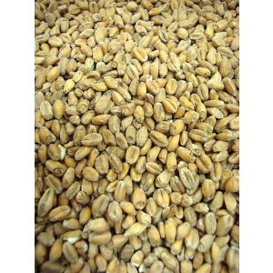Wheat Malt- Briess